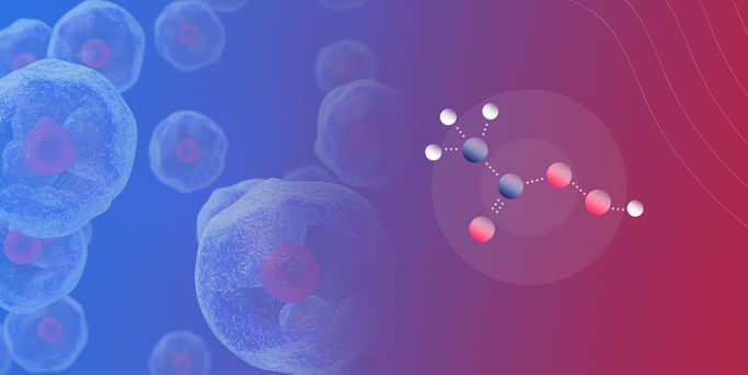 Solvay Peracetic Acid (PAA)