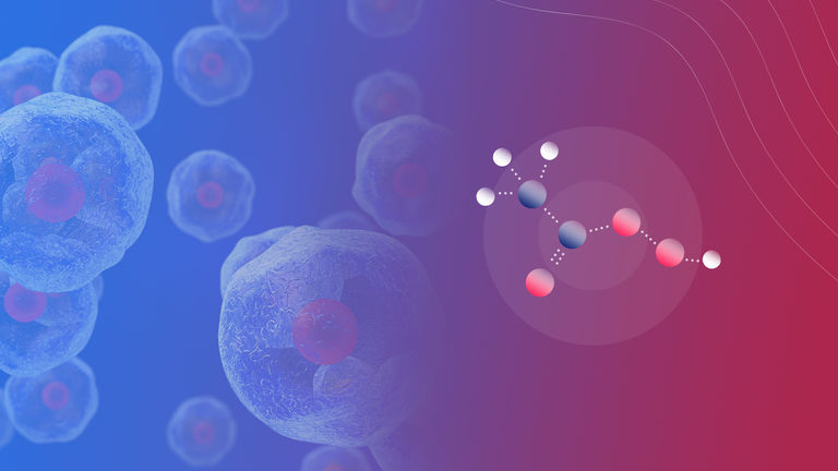 Solvay Peracetic Acid (PAA)